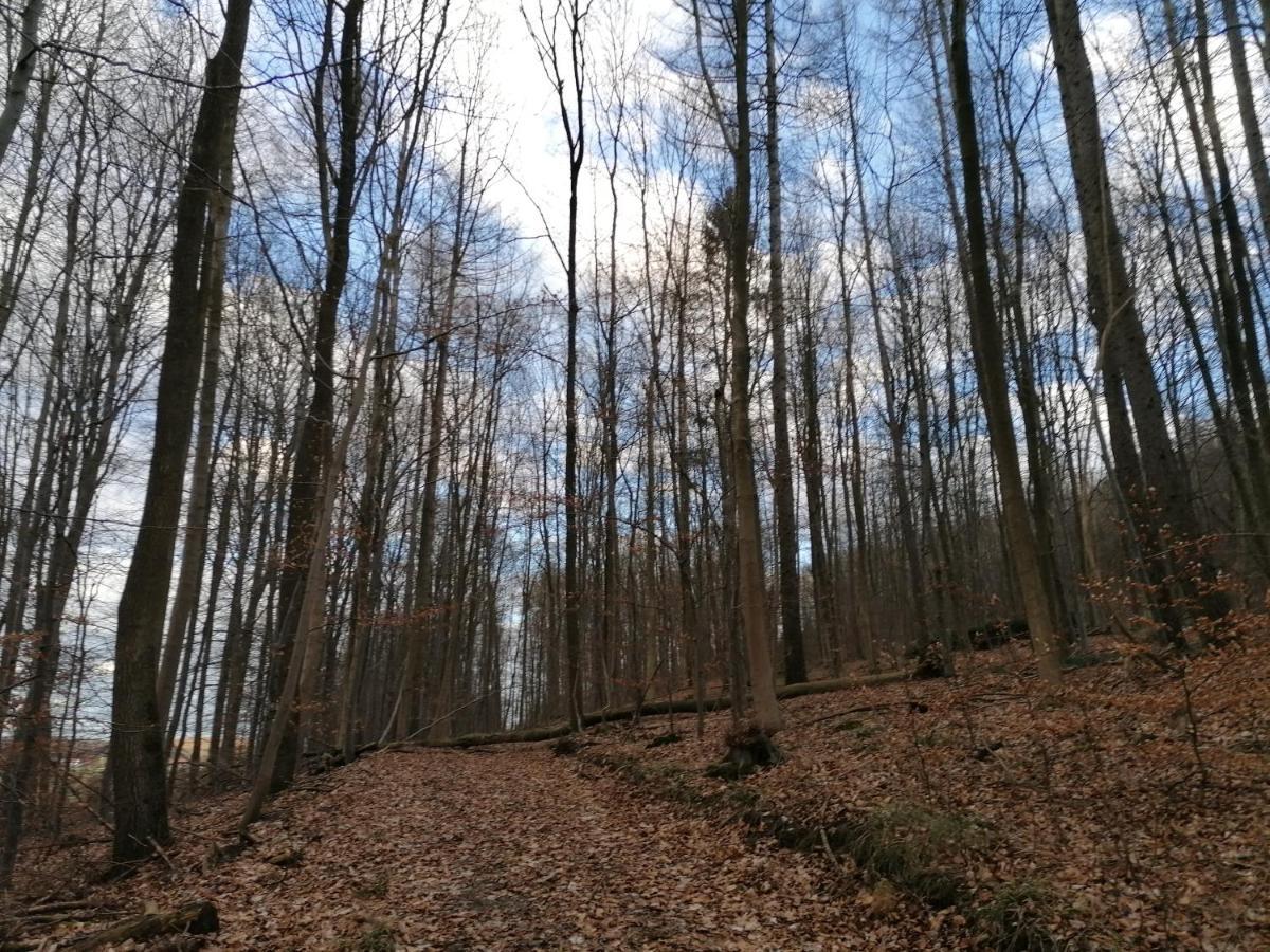 BrunkensenLippolds Stube公寓 外观 照片