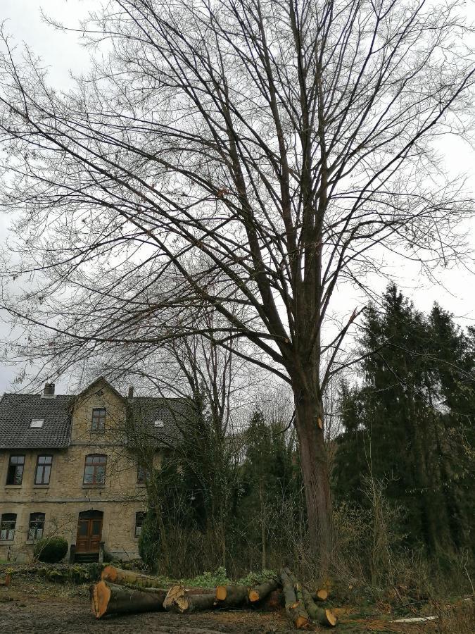 BrunkensenLippolds Stube公寓 外观 照片